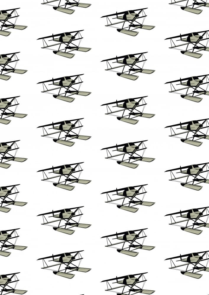 Vintage Seaplane Pattern by Nicholas — canvas wall art