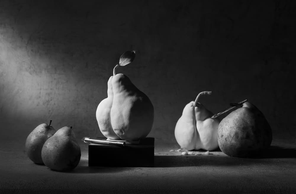 Shadowed Pear Still Life by Victoria Glinka — canvas wall art