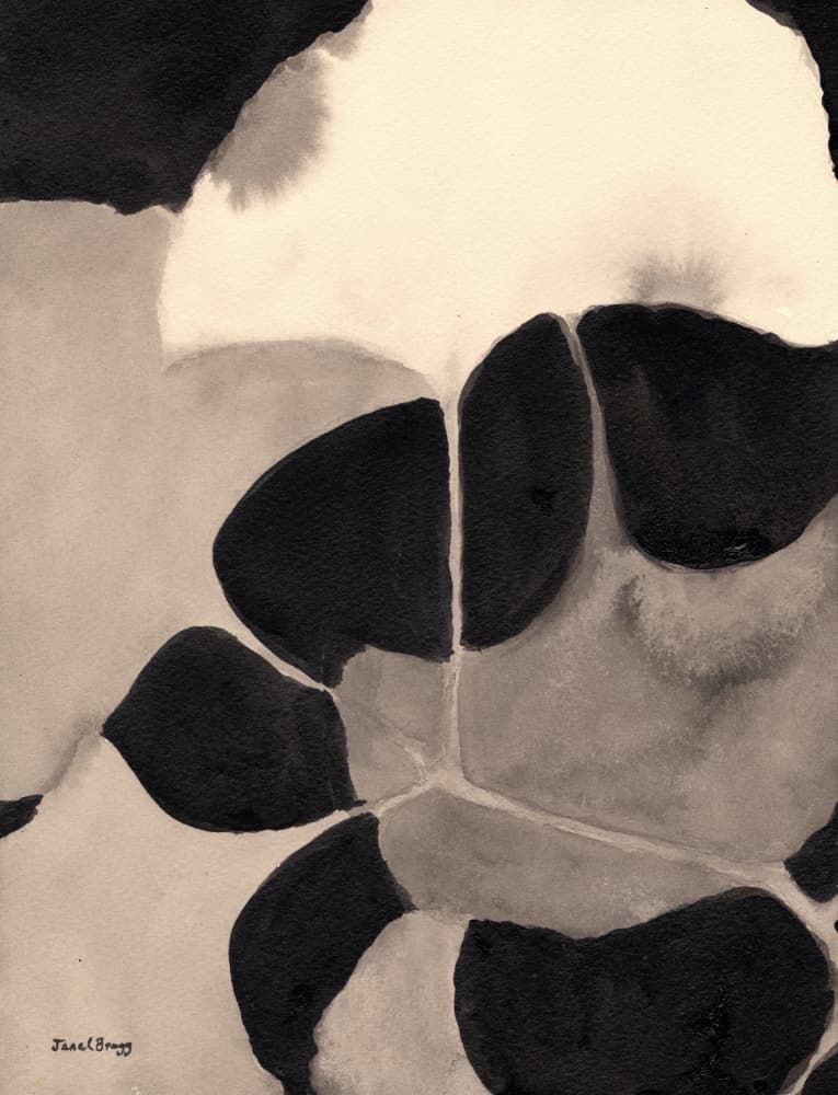 Bold Organic Forms by Janel Bragg — canvas wall art