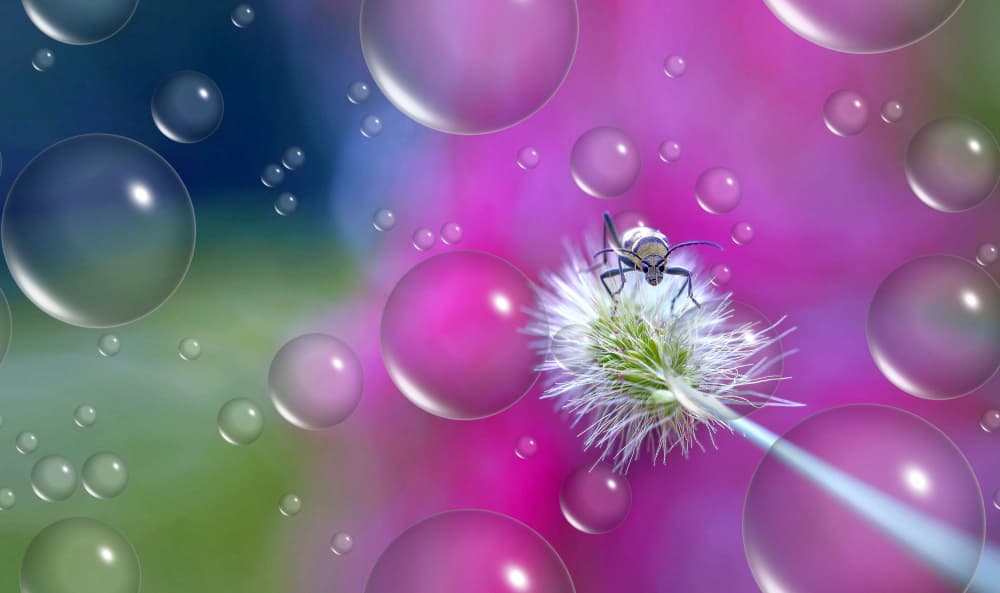 Enchanted Ant and Bubbles by Thierry Dufour — canvas wall art
