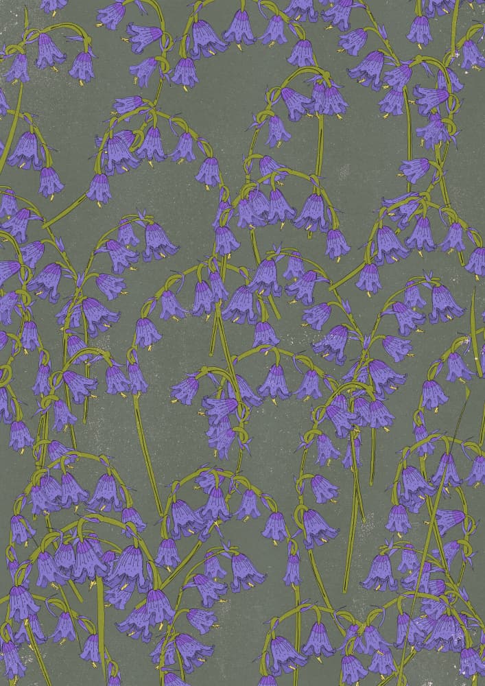Cascading Bluebell Blooms by Nicholas — canvas wall art