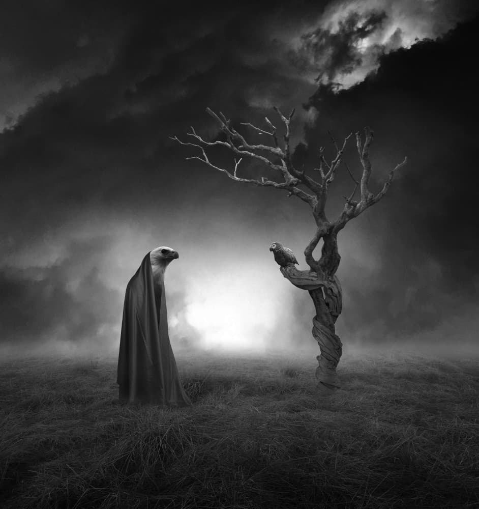 Mysterious Eagle Tree by Hari Sulistiawan — canvas wall art