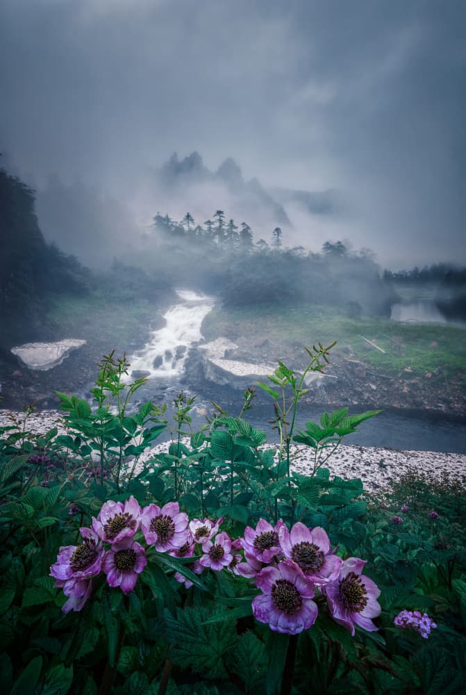 Purple Flowers Misty Mountains by YANGYING — canvas wall art