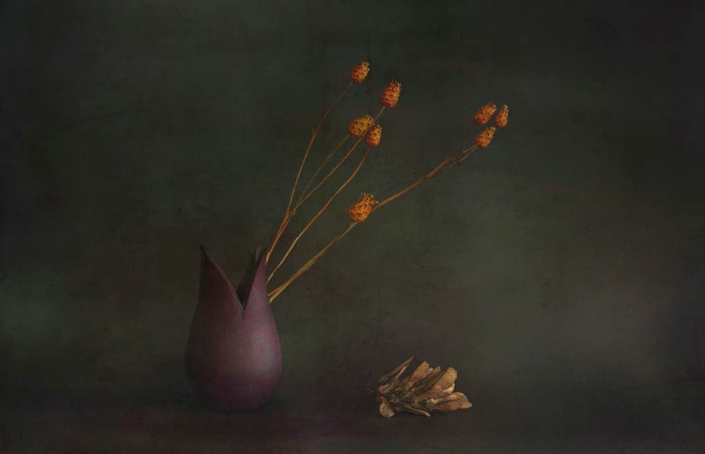 Moody Botanical Vase by Cicek Kiral — canvas wall art