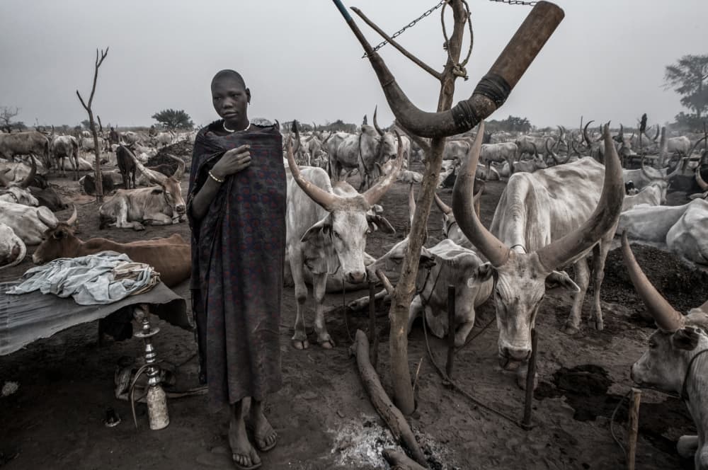 African Cattle Camp by Joxe Inazio Kuesta Garmendia — canvas wall art