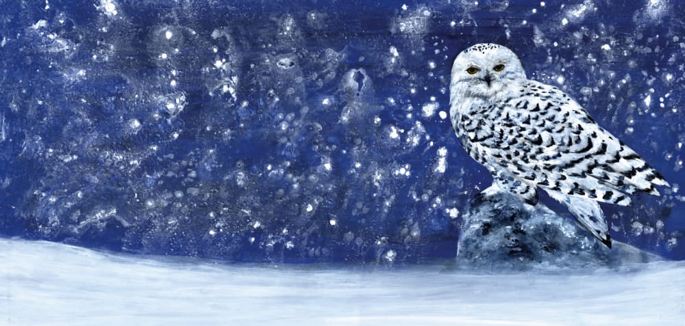 Snowy Evening 60 X 28 by RodMacIver — canvas wall art