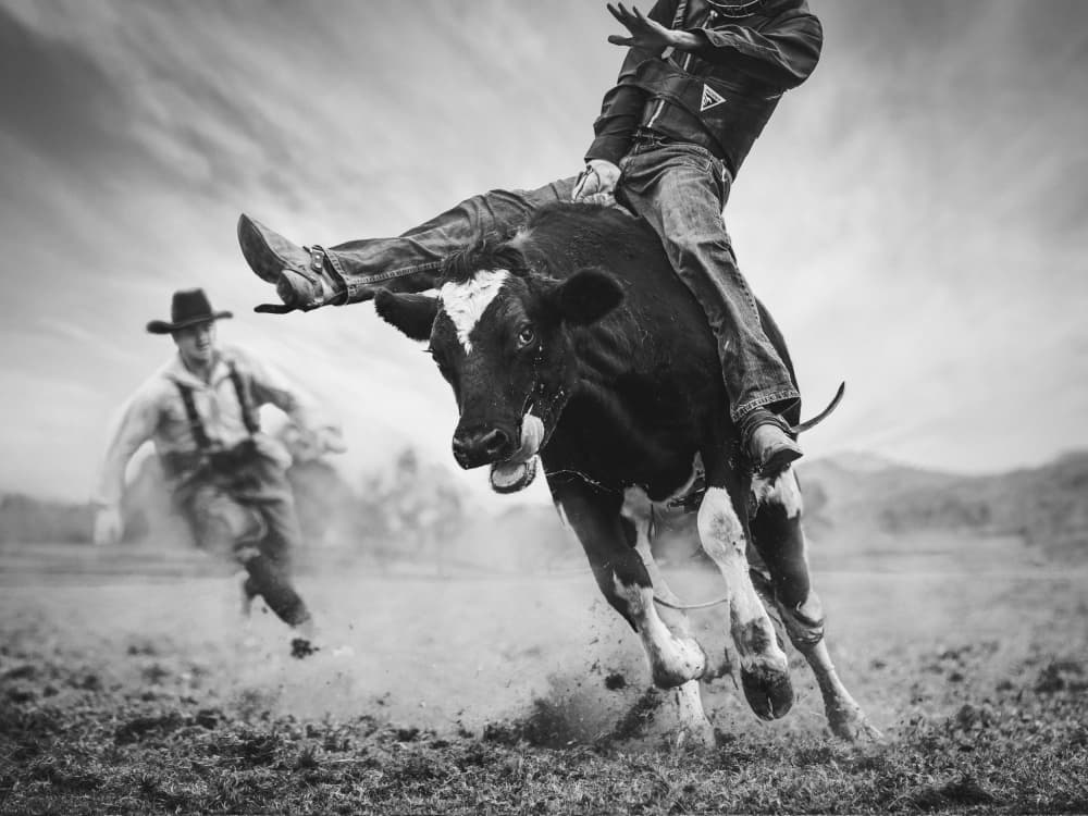 Wild West Rodeo by Frank Ma — canvas wall art