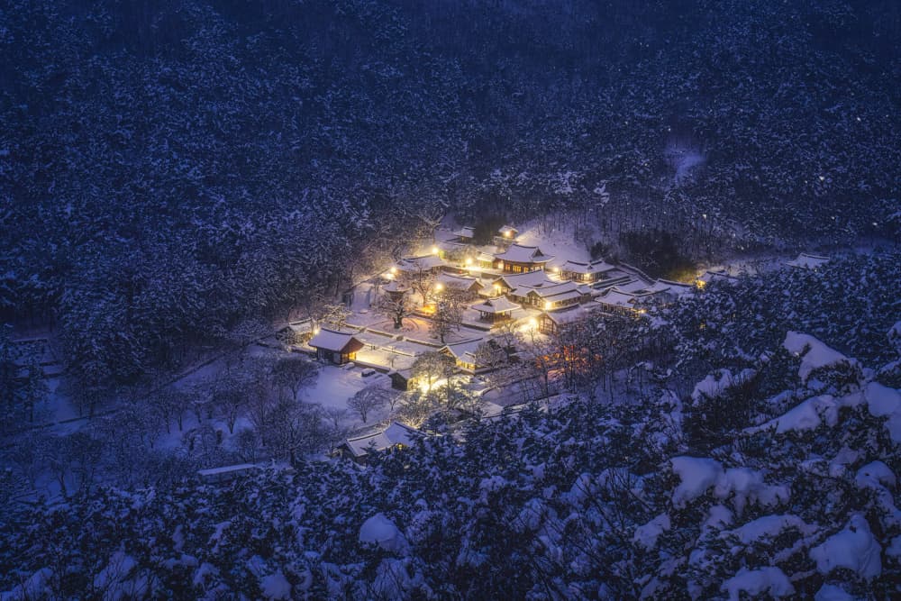 Cozy Winter Village Night by Tiger Seo — canvas wall art