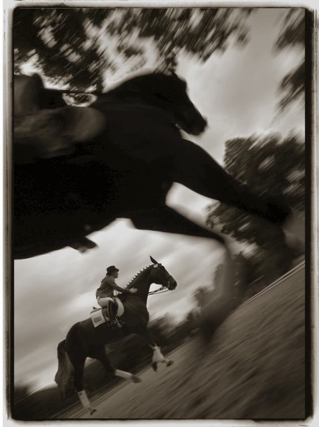 Dynamic Equestrian Gallop by Milan Malovrh — canvas wall art