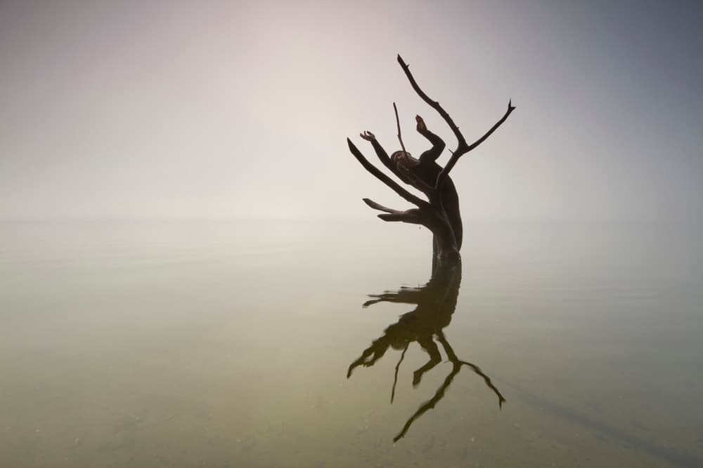 Misty Figure Emerges by Leszek Paradowski — canvas wall art