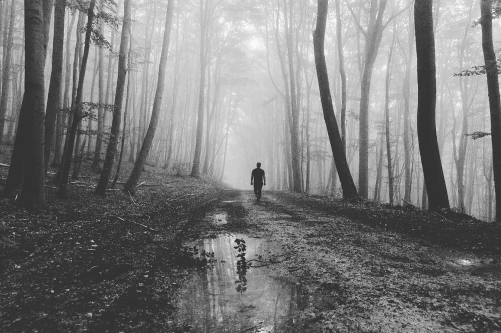 Man Walks Misty Forest by Robert Kuavi — canvas wall art
