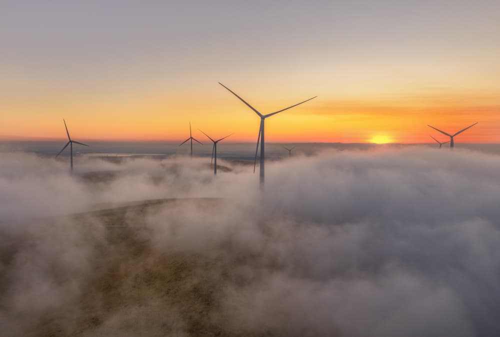 Golden Fog Wind Turbines by Jenny Qiu — canvas wall art