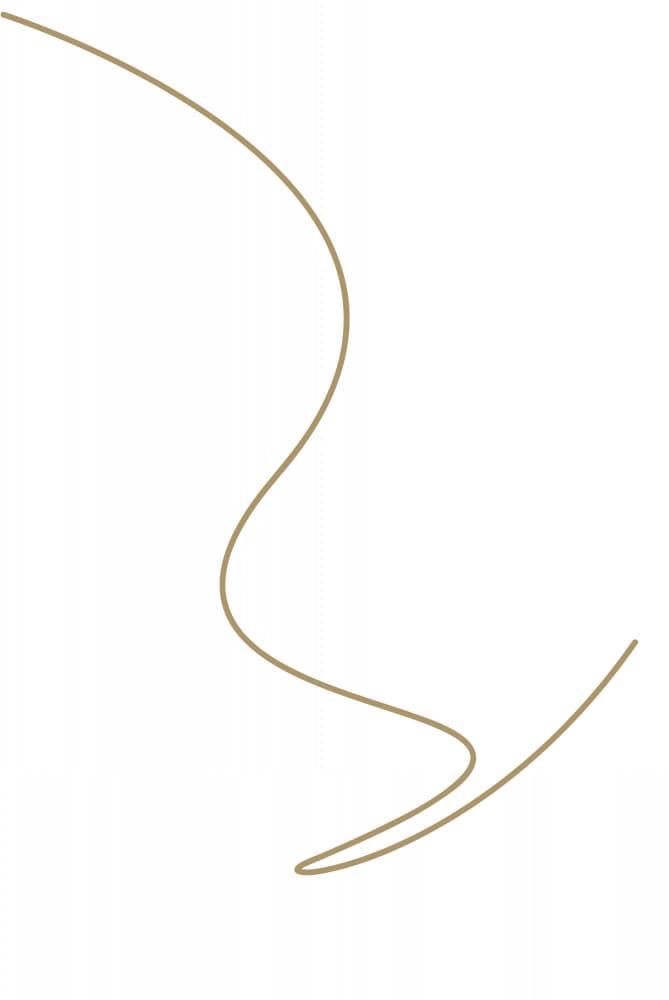 Elegant Flowing Curve by Oju Design — canvas wall art