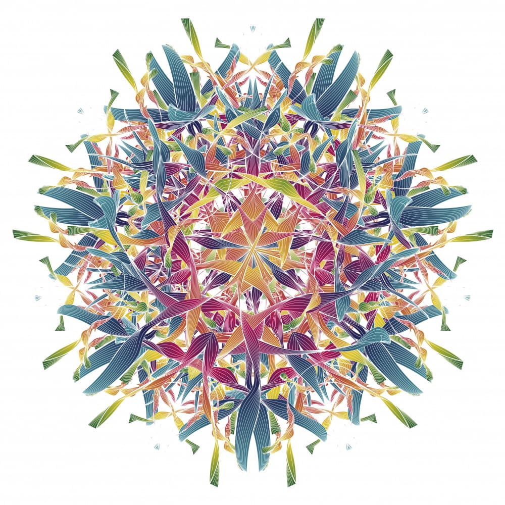 Vibrant Kaleidoscope Bloom by Angelo Cerantola — canvas wall art