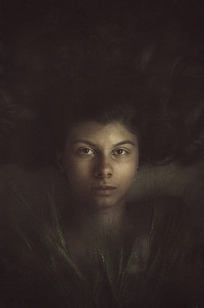 Dark Wheat Gaze by Desislava Ignatova — canvas wall art