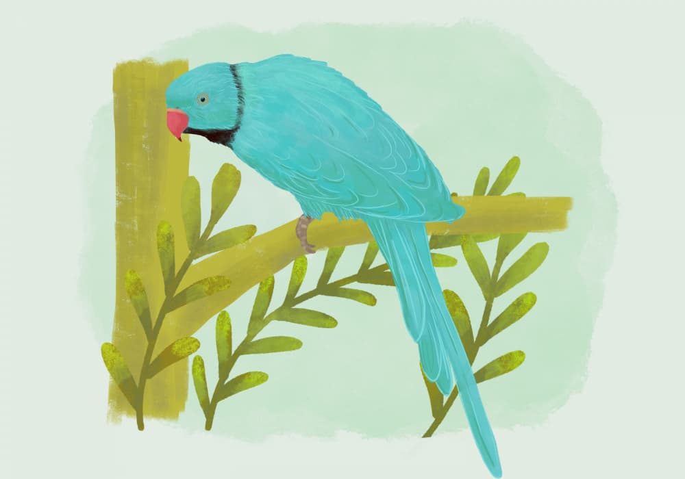 Tropical Blue Parrot by Aliya Putrus — canvas wall art