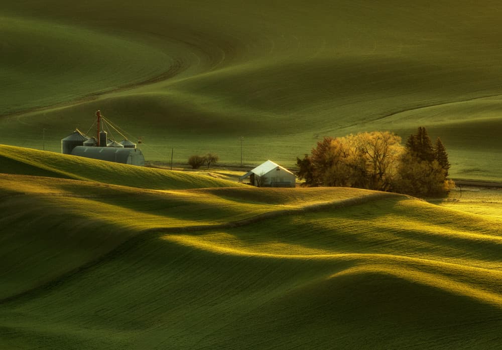 Rolling Hills Golden Light by Leechee Z — canvas wall art