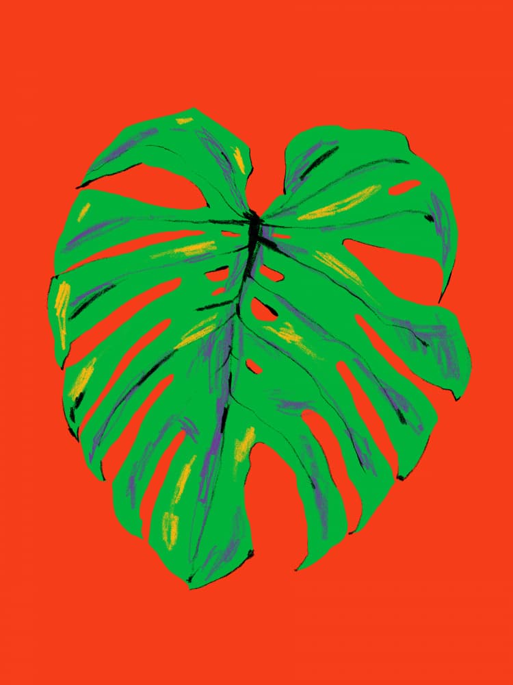 Vibrant Monstera Leaf by Francesco Gulina — canvas wall art