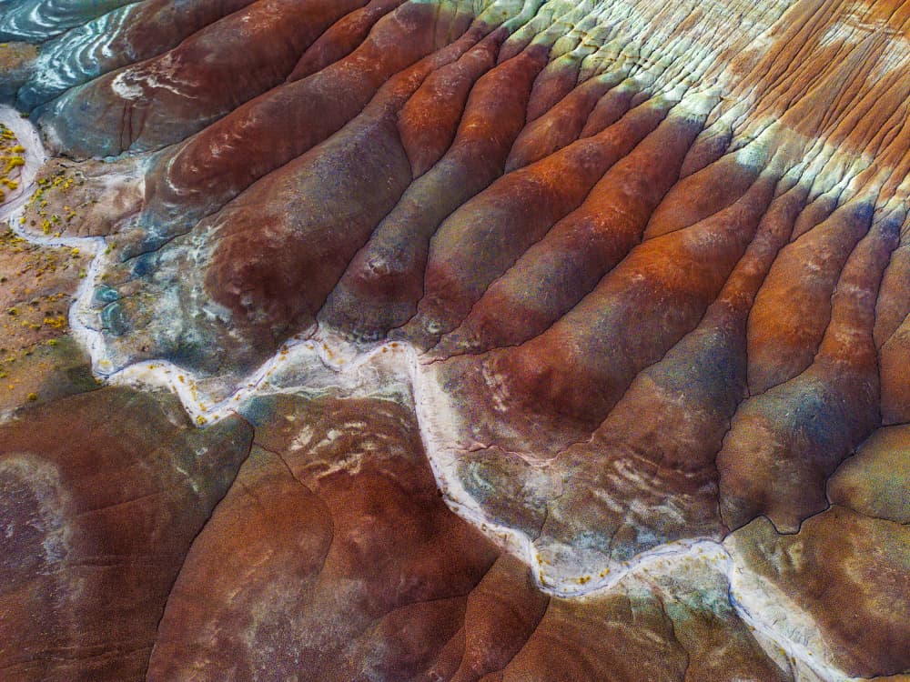 Colorful Earth Patterns by Siyu_Wei APA — canvas wall art