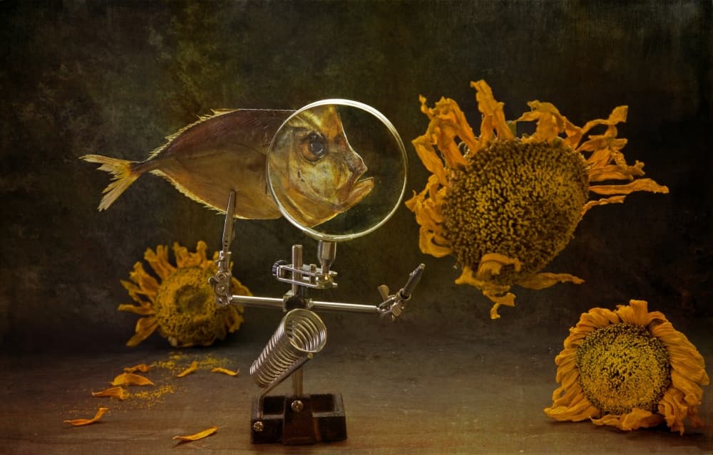 Curious Nature Still Life by Brig Barkow — canvas wall art