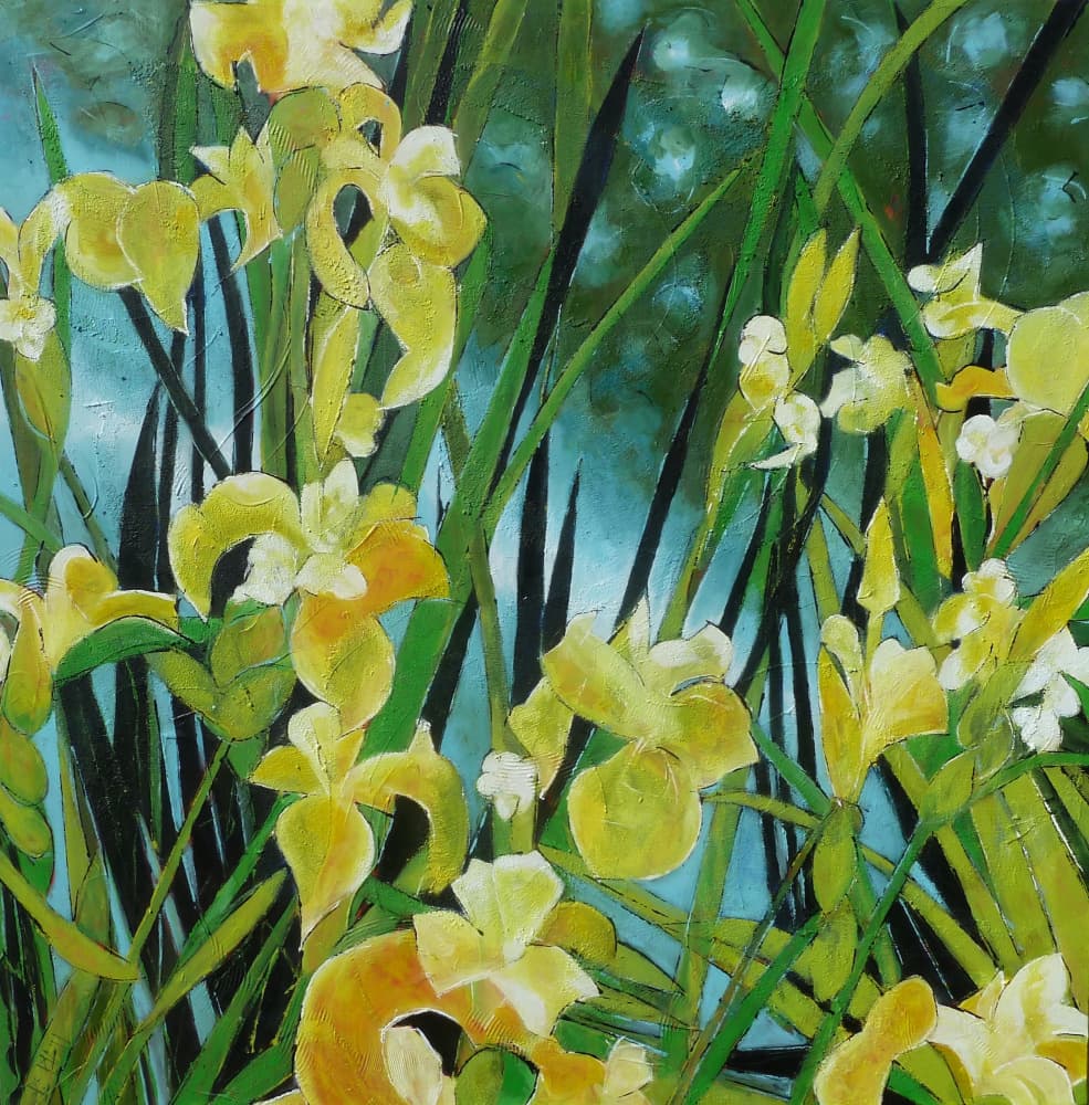 Vibrant Yellow Irises by Barbara Piatti — canvas wall art