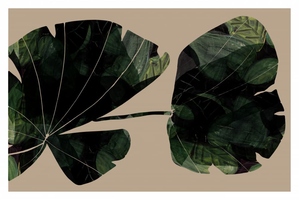 Dark Tropical Leaves by cartissi — canvas wall art