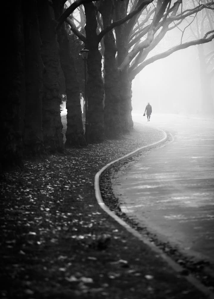 Solitary Walk Foggy Path by Anna Niemiec — canvas wall art