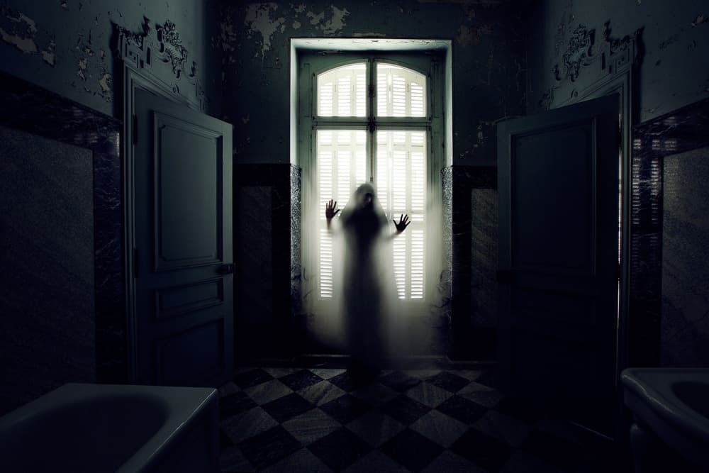 Haunted Ghostly Presence by Sebastien DEL GROSSO — canvas wall art