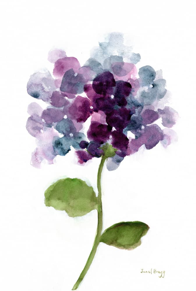Soft Purple Hydrangea by Janel Bragg — canvas wall art