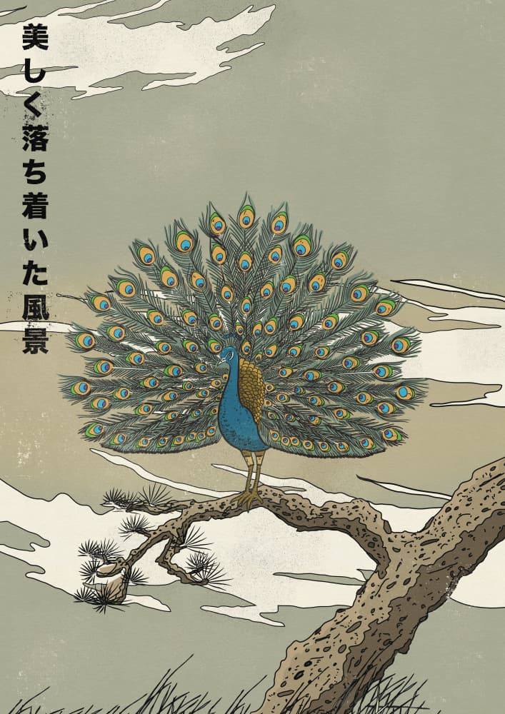 Japanese Peacock on Branch