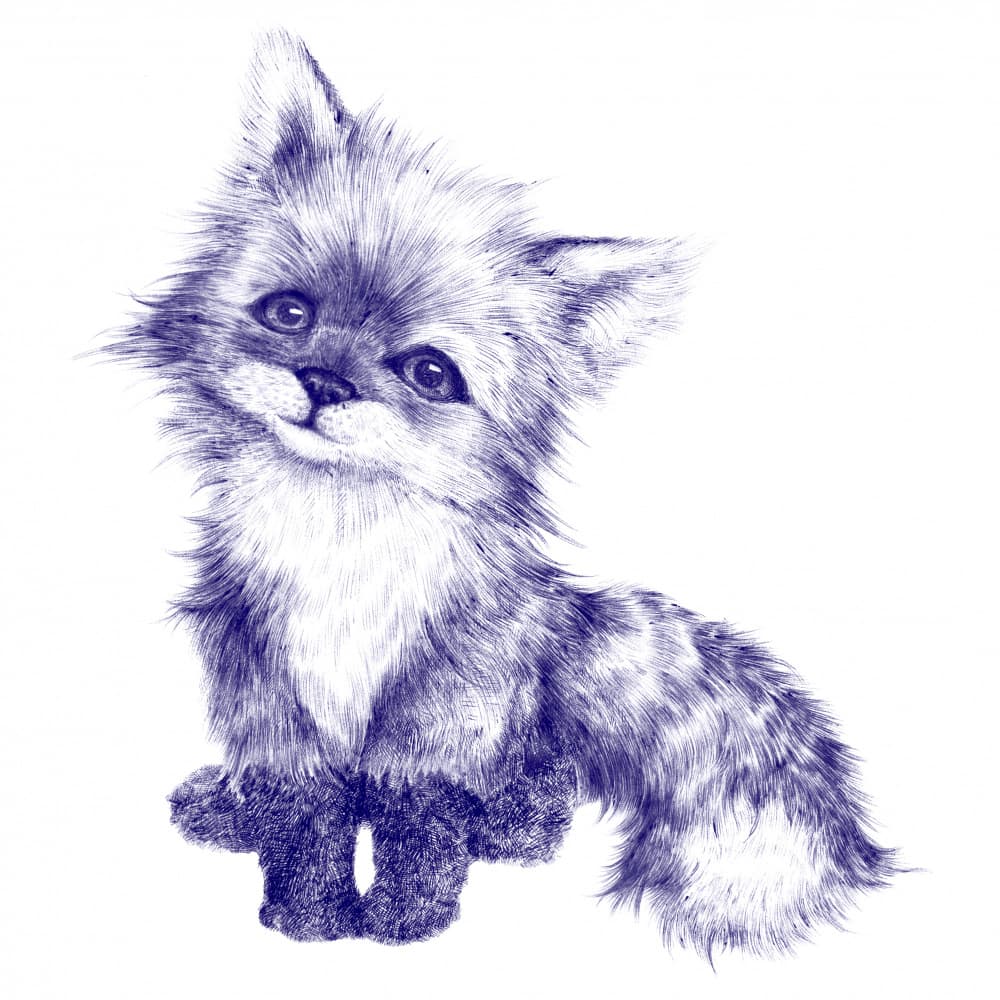 Curious Fluffy Fox Cub by Nicole Bustamante — canvas wall art