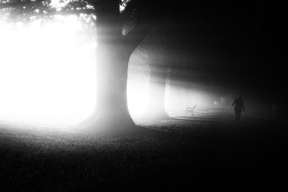 Misty Morning Path Light by Ulrike Eisenmann — canvas wall art