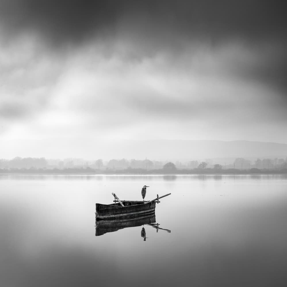 Misty Lake Heron by George Digalakis — canvas wall art
