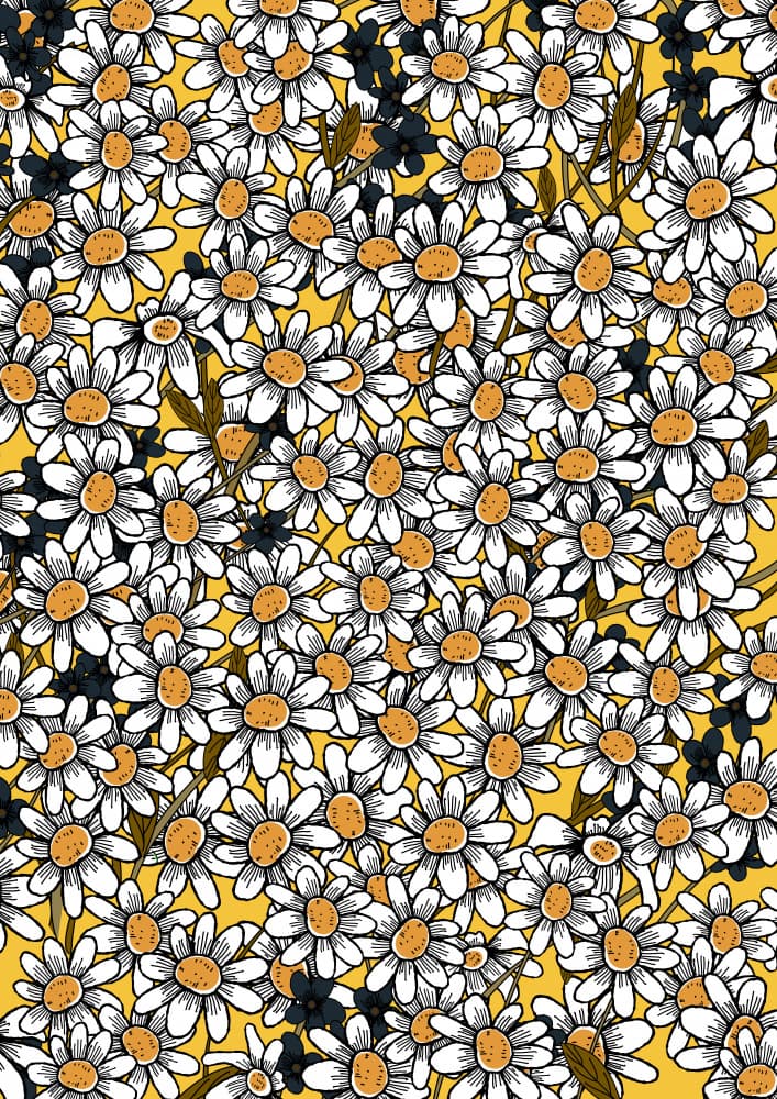 Happy Daisy Field by Nicholas — canvas wall art