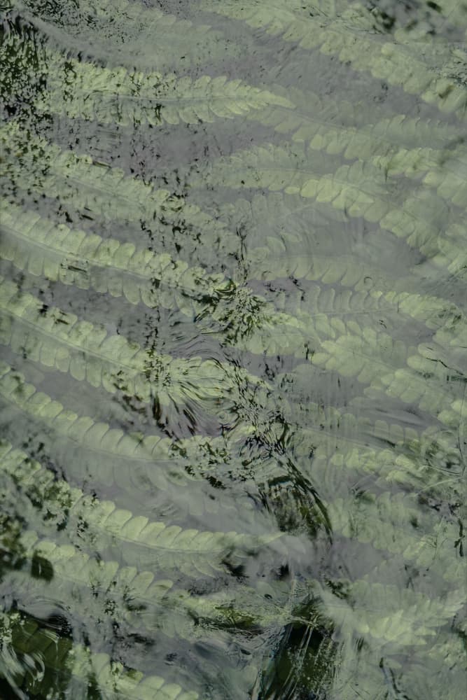 Flowing Green Foliage by Pelin Atilla — canvas wall art