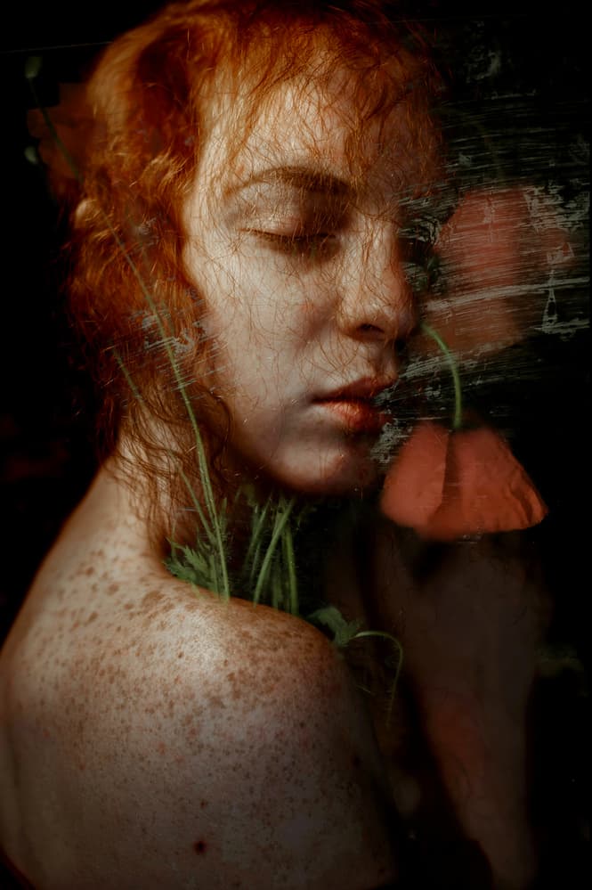 Serene Redhead Poppies by Barbora Biňovcová — canvas wall art