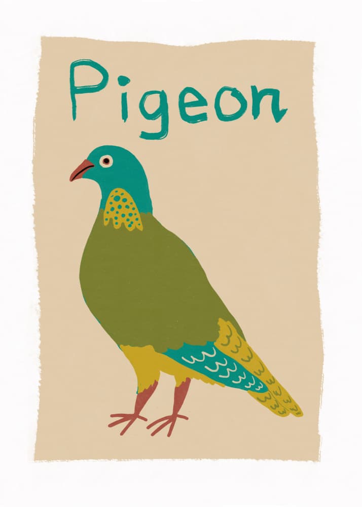 Colorful Illustrated Pigeon by Sharyn Bursic — canvas wall art