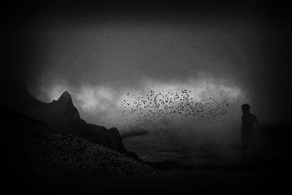 Dark Mountain Flight by Roxana Labagnara — canvas wall art