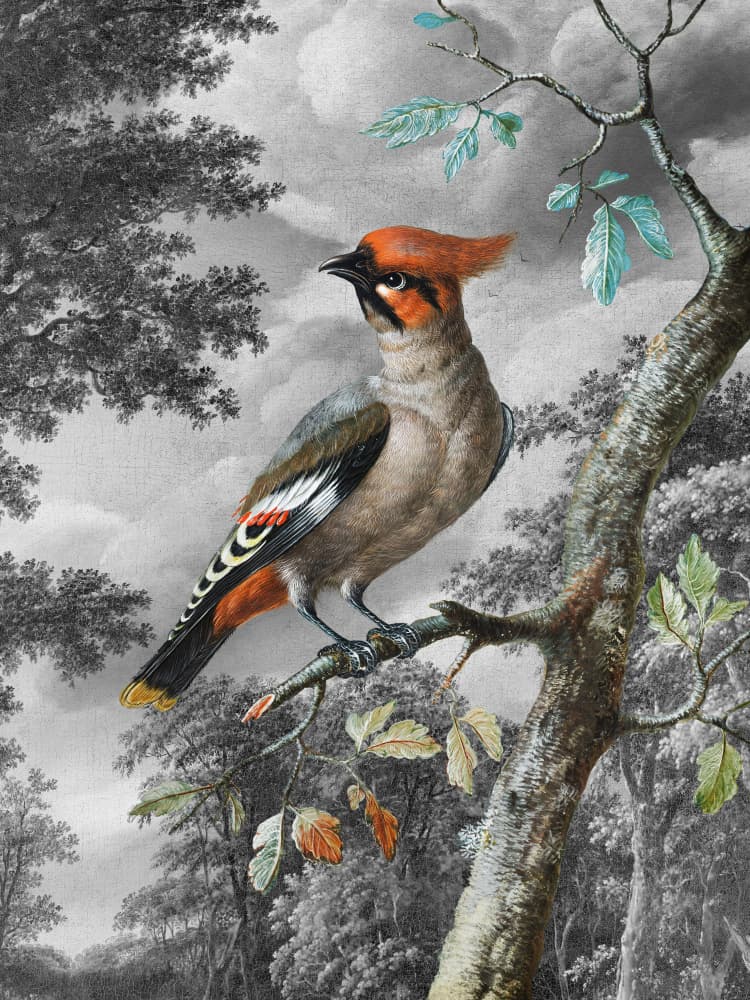 The Bird In the Woods by Marja van den Hurk — canvas wall art