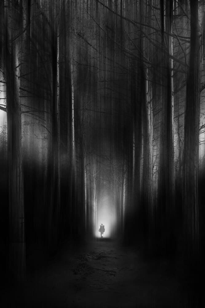 Mysterious Forest Path by Nicodemo Quaglia — canvas wall art