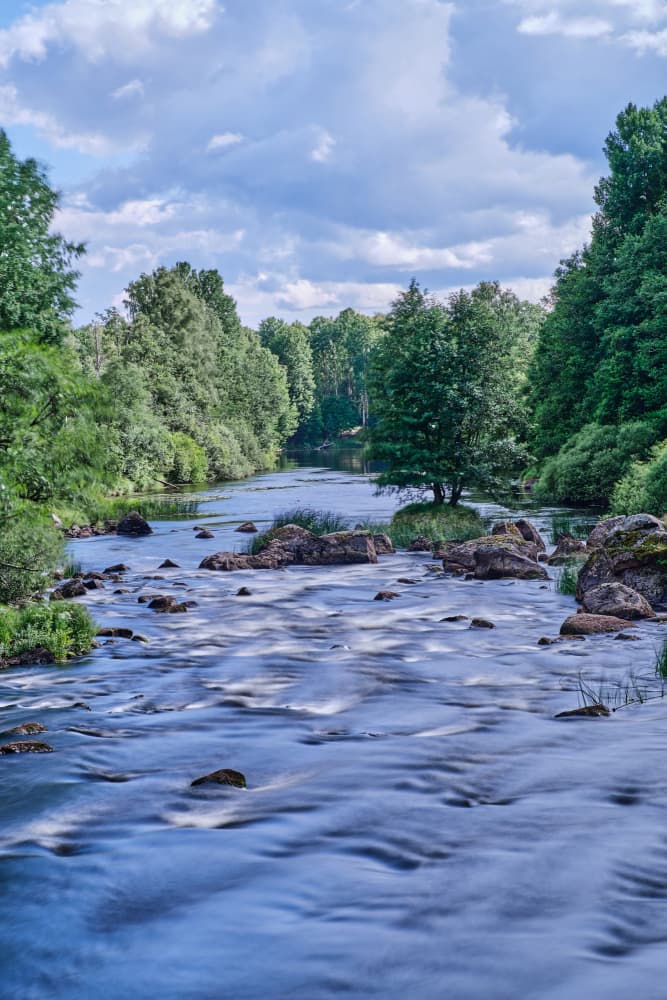 Flowing River Through Forest by Geertjan Plooijer — canvas wall art