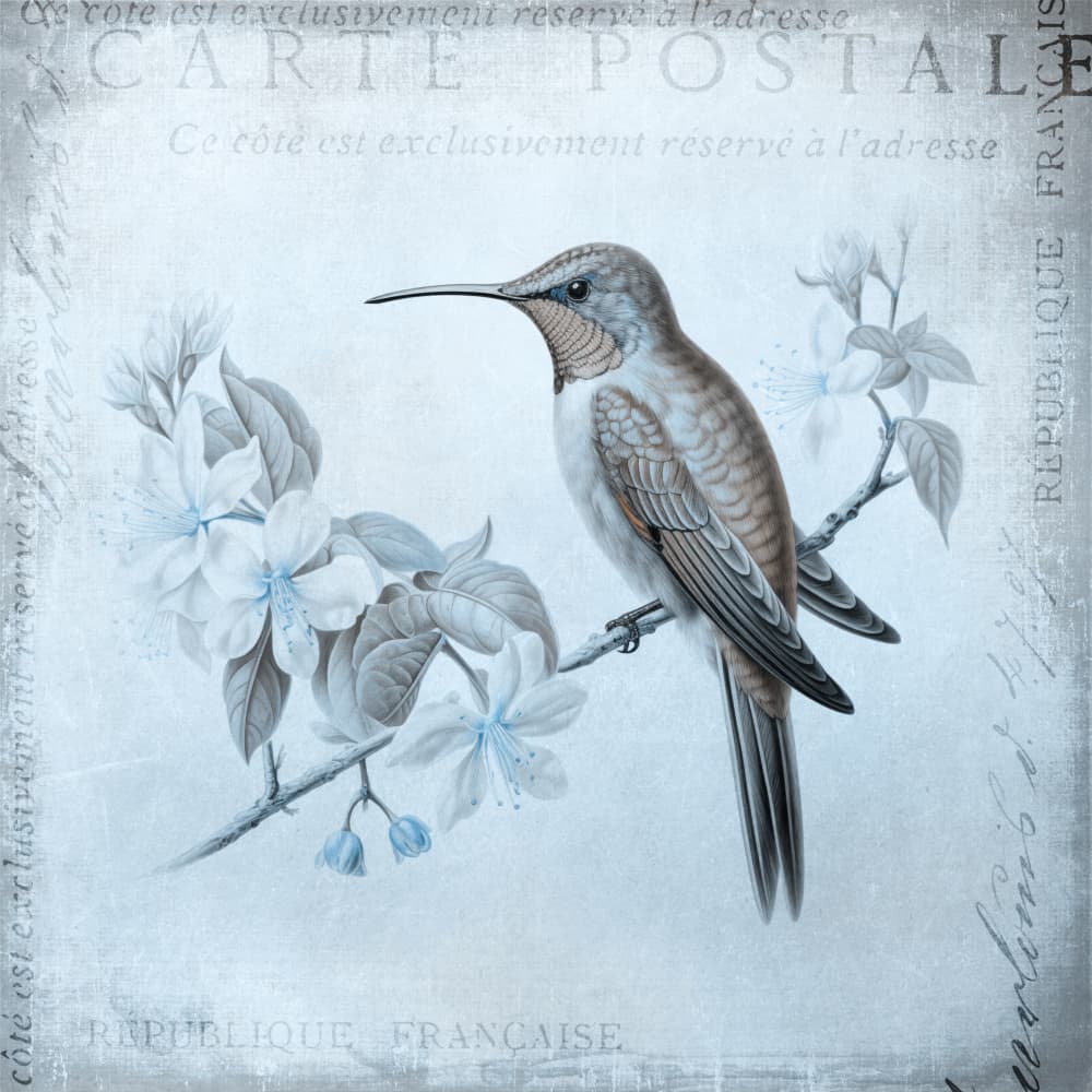 Delicate Hummingbird Flowers by Andrea Haase — canvas wall art