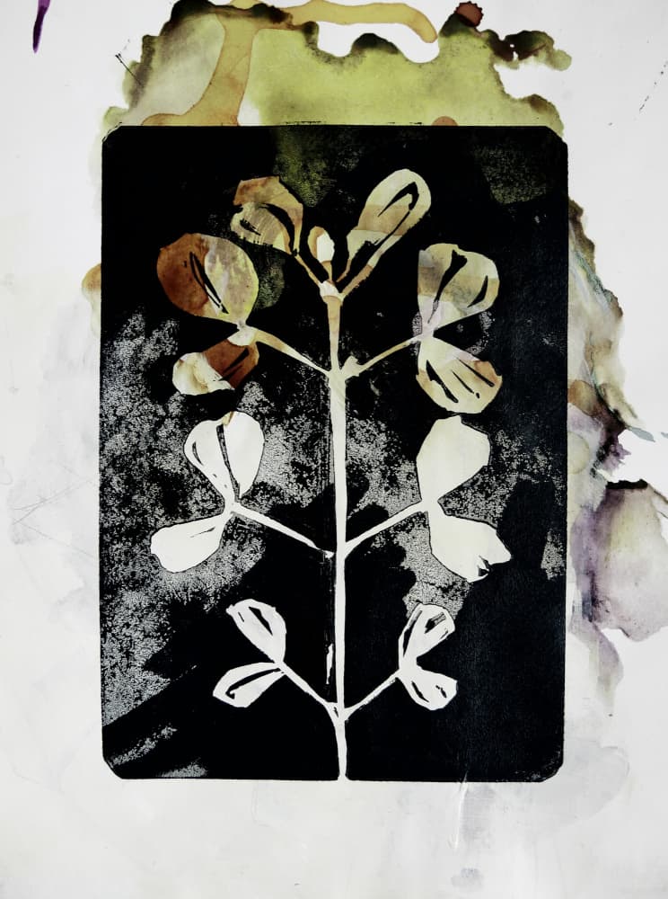 Earthy Botanical Form by Doris Schmitz — canvas wall art