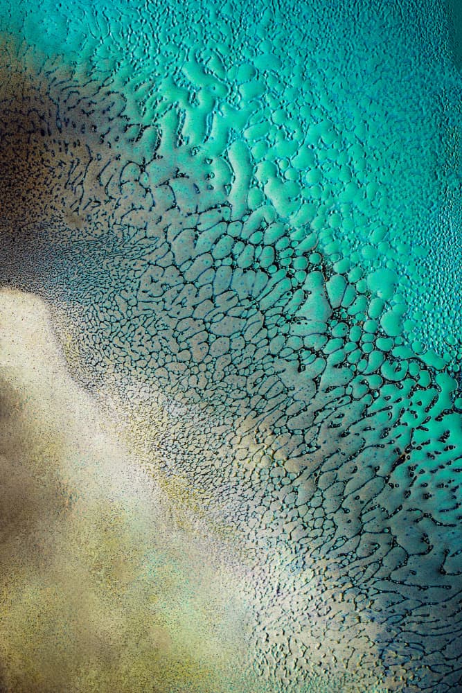 Earthbound. Tif by Petra Meikle de Vlas — canvas wall art