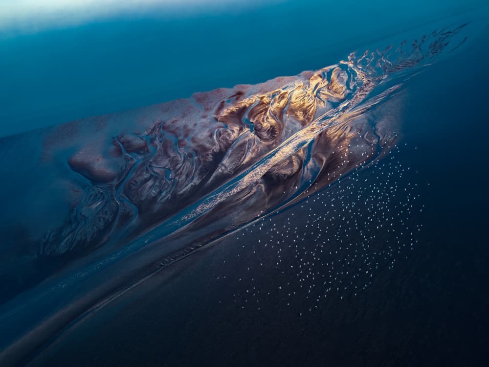 Birds Over Golden Delta by Songlin Xu — canvas wall art