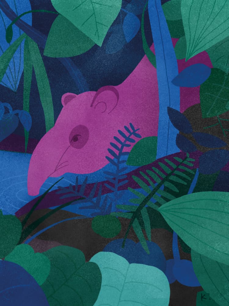 Pink Tapir In Jungle by Sylwia Kubus — canvas wall art