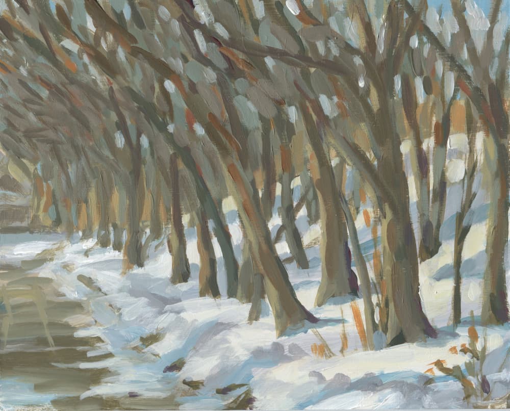 Snowy Riverbank Trees by Carrie Arnold — canvas wall art