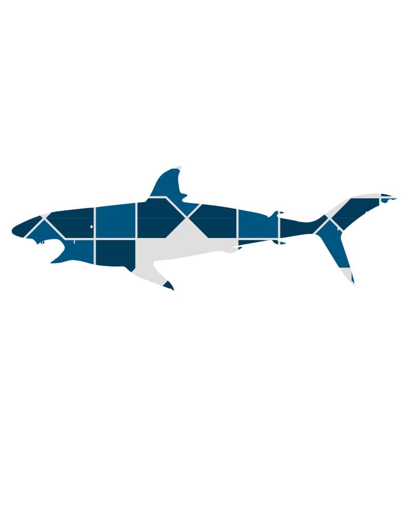 Geometric Blue Shark by Emiliano Deificus — canvas wall art