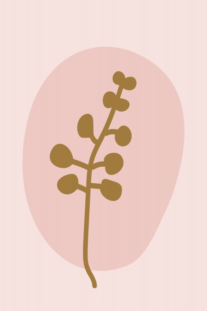 Soft Pink Botanical by Dina Dankers — canvas wall art