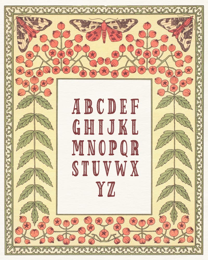 Abc 0018 by Wild Violets — canvas wall art